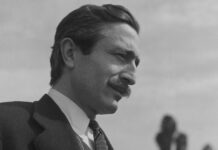 Özdemir Asaf Kimdir?